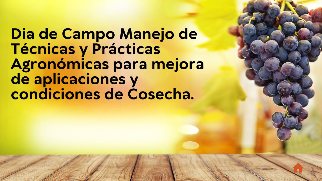 evento 1